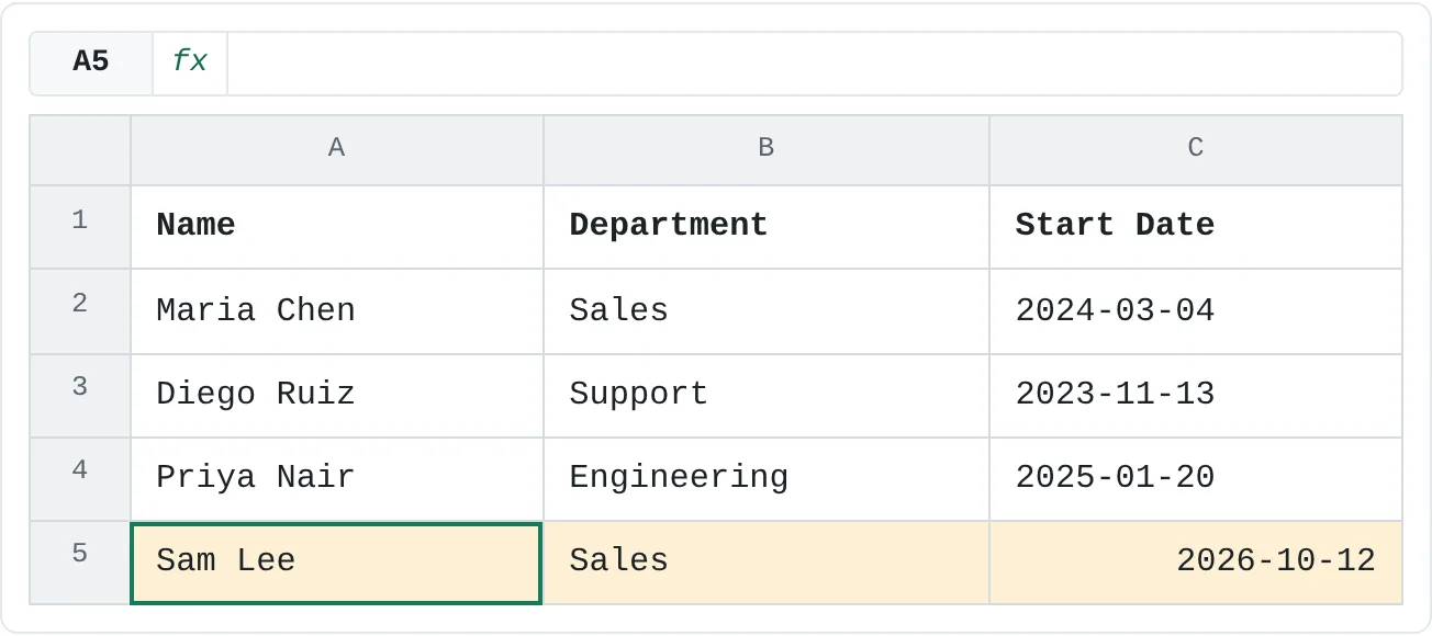 A new employee typed into row 5. Enter moves down a row, Tab moves to the next column.